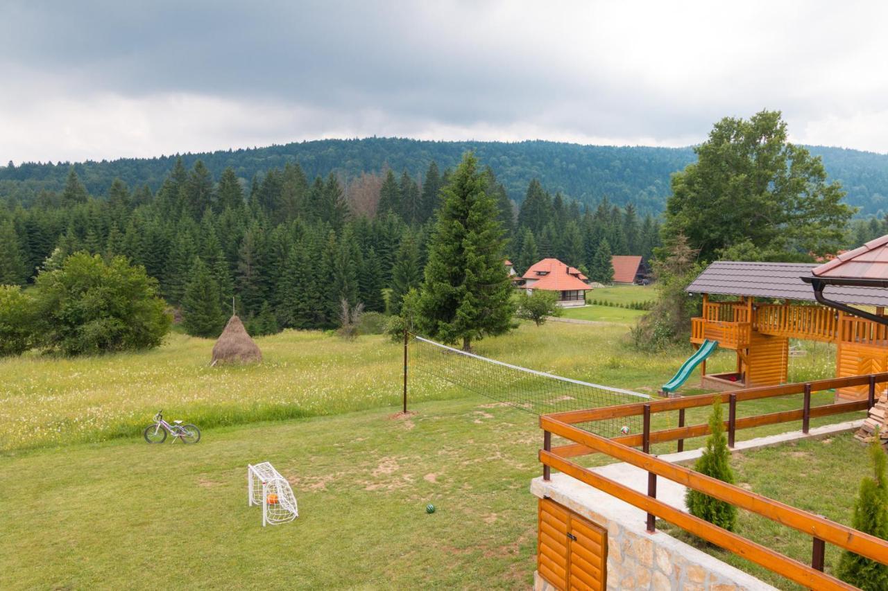 Mountain House Popovic Tara Vila Bajina Basta Exterior foto